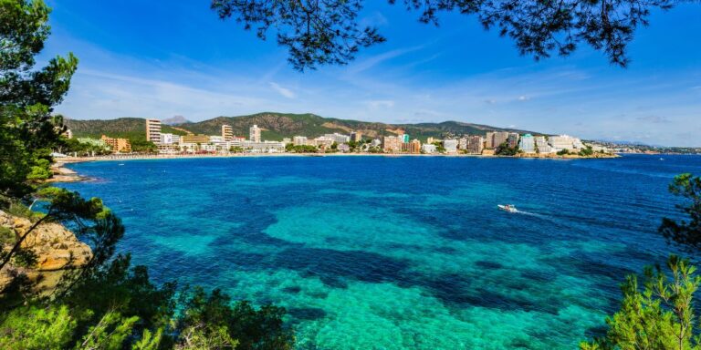 Viaje fin de carrera a Mallorca